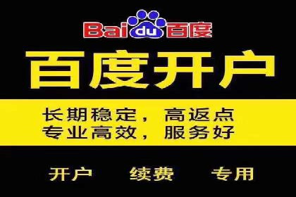 百度推广代运营公司案例分析