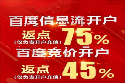 百度推广价格策略：成功案例分享